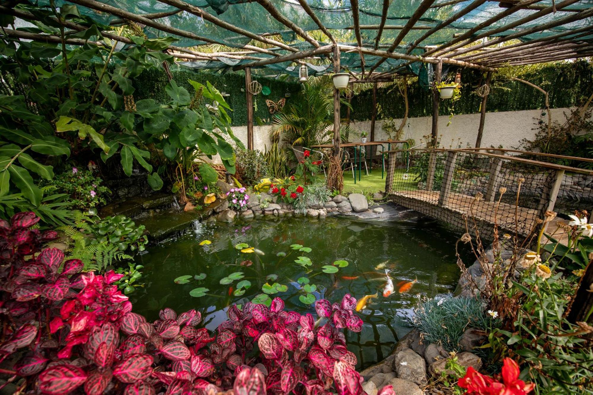Levada House Prazeres Villa Eksteriør billede